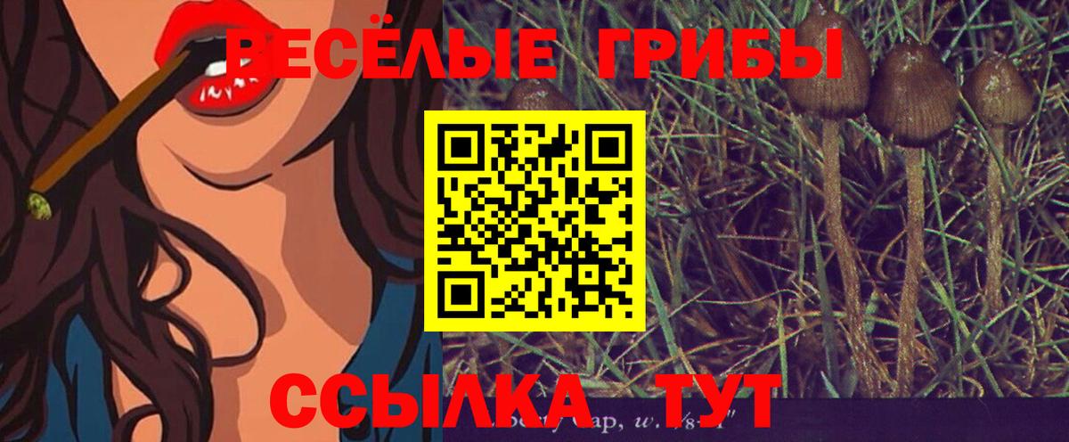 Псилоцибиновые грибы MAGIC MUSHROOMS Клинцы